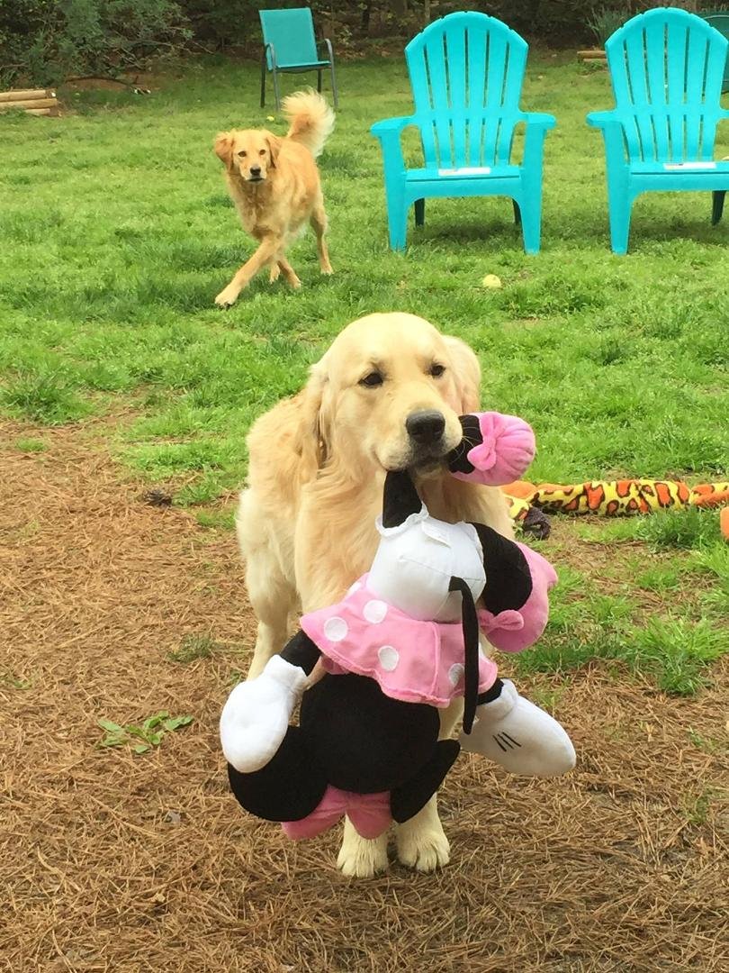 Keagan and Minnie.