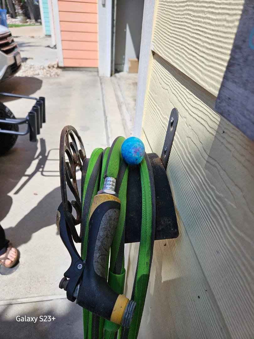 This is how a lazy Easter bunny hides eggs. LOL!