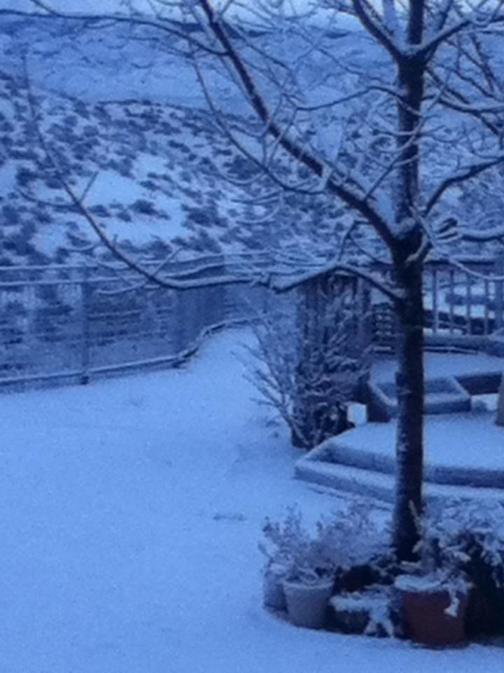It is beginning to look a lot christmas!