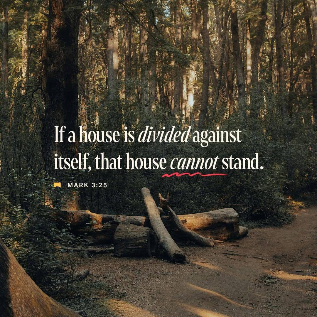 aaron seitz's album, Timeline photos
