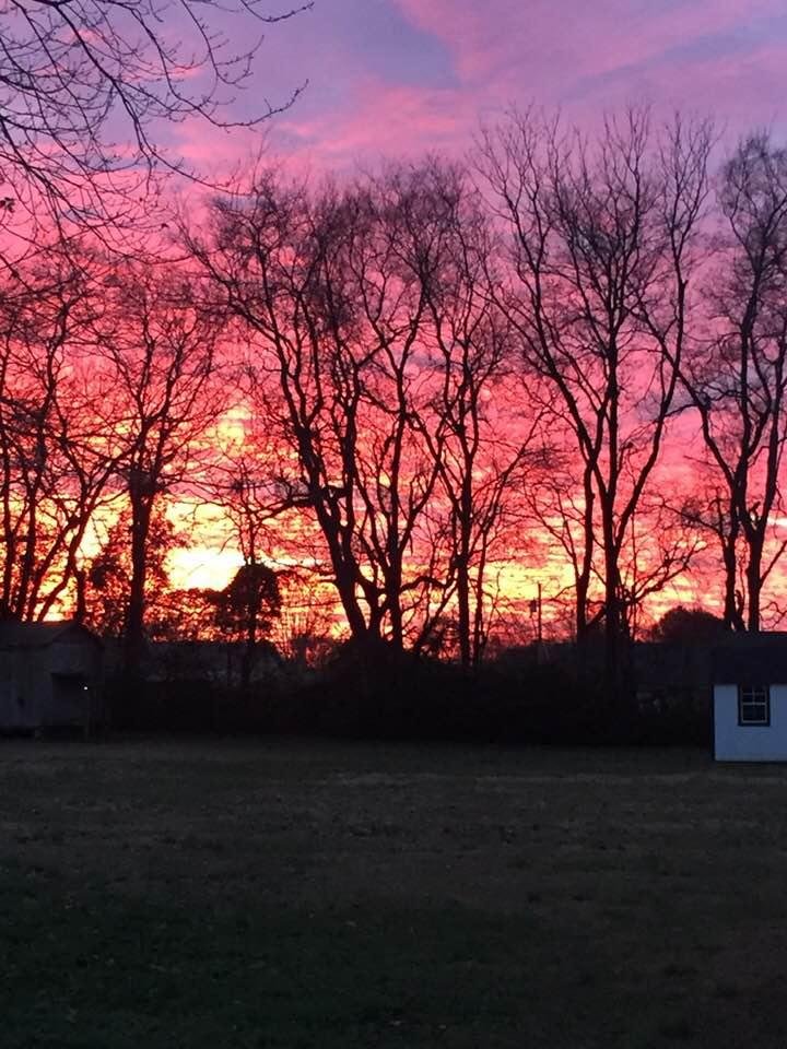 Sharon Blake's album, Timeline Photos