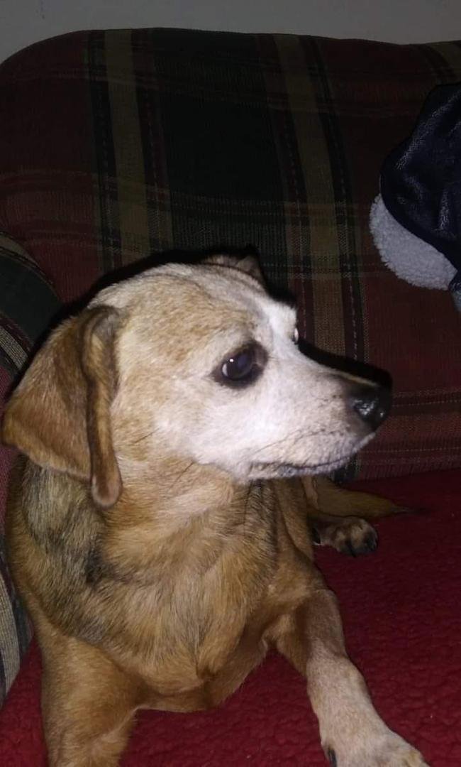 Our little girl Nikki