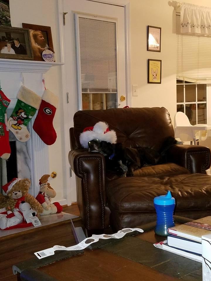 Heidi Schultz has finally gotten into the Christmas spirit!