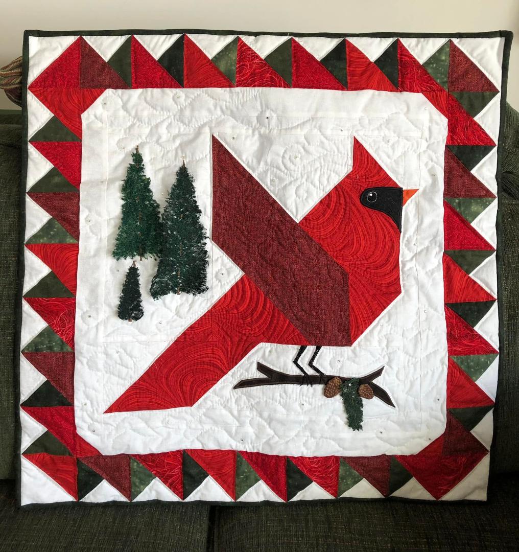 This is the quilted wall hanging I donated to
The Nazareth Center for the Arts for their annual auction taking place on line now. It is my original design, 26”x26”, and is hand quilted. It is embellished with thread trees