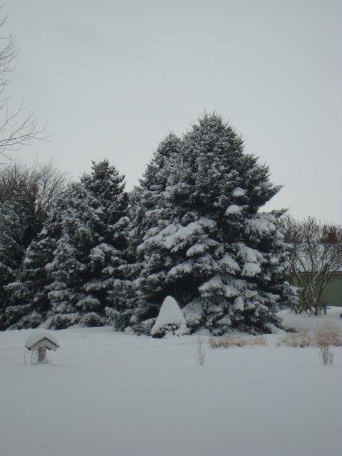 my back yard, love it