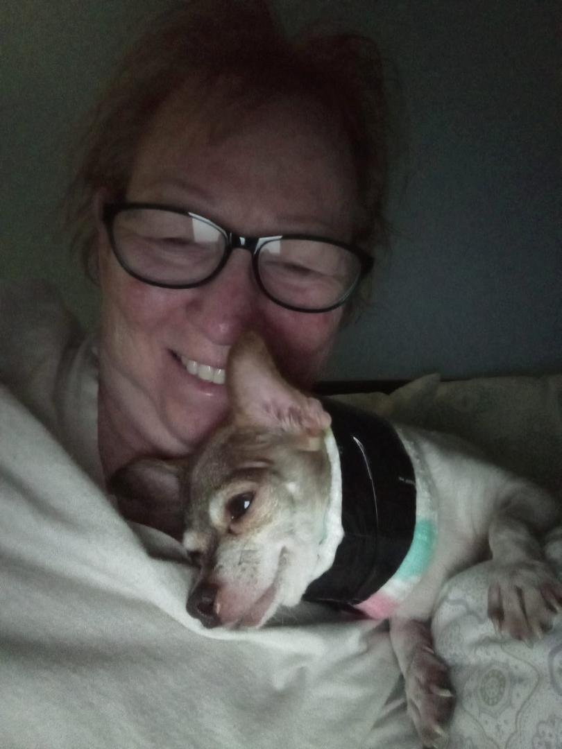 My little sugar not feeling well..got her on some antibiotics, the cyst on her leg has been infected and having a heck of a time trying to keep her from licking it. She has an e-collar but it is so hard for her to eat and d