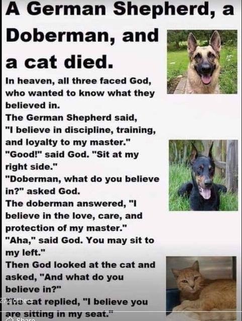 Ellen Perry's album, Timeline Photos