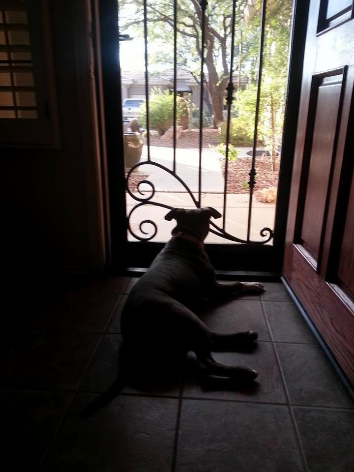 John Barchi's album, Mobile Uploads