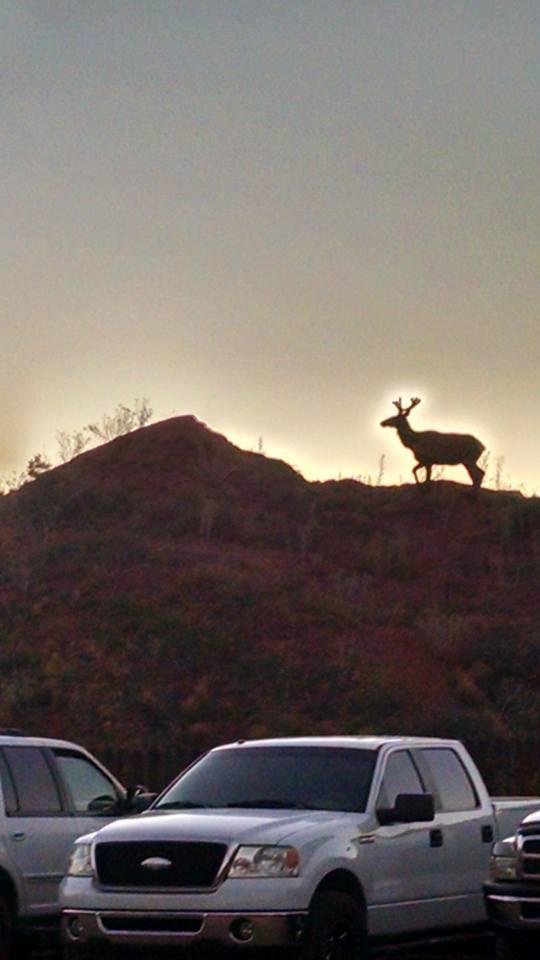 What a sunset.