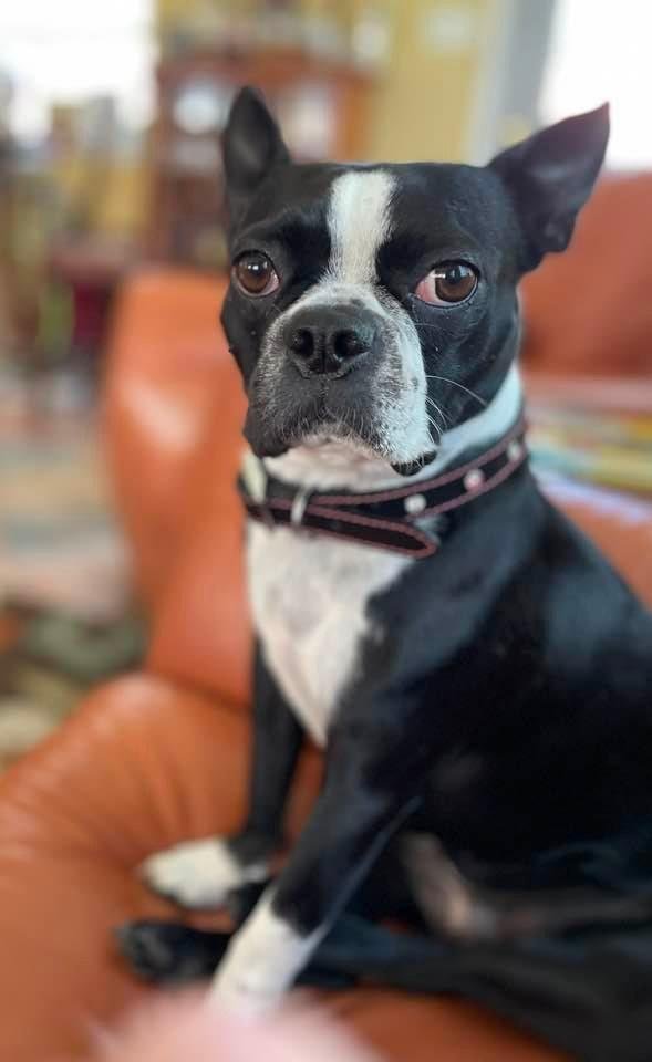Rosie says hello!!