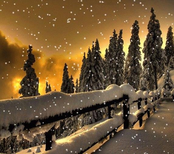 Eric Bernstein's album, Timeline Photos