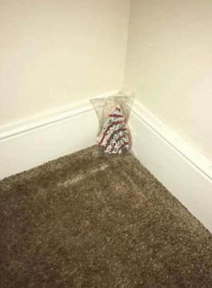 Christmas tree is done. Just Kidding