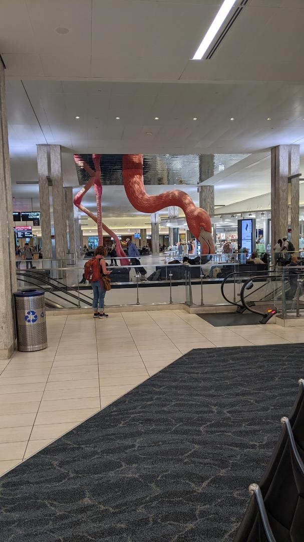 There was a giant pink flamingo on the loose at Tampa International Airport. 🙂