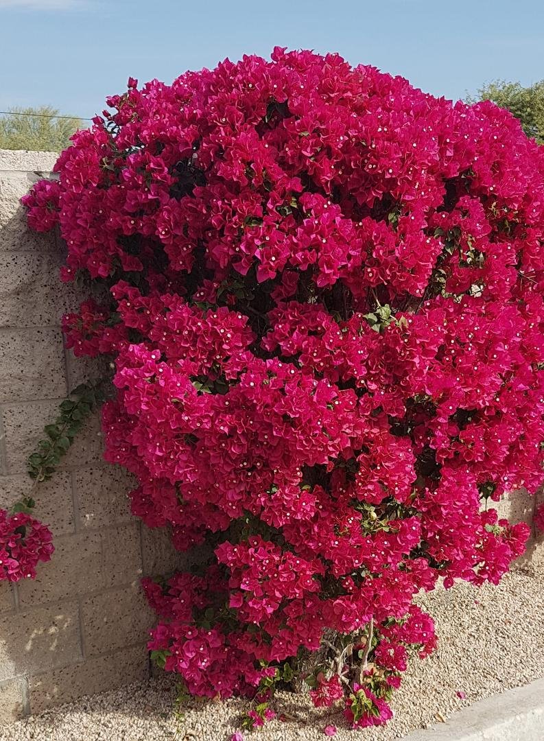 Tracy Knoblauch's album, Timeline Photos