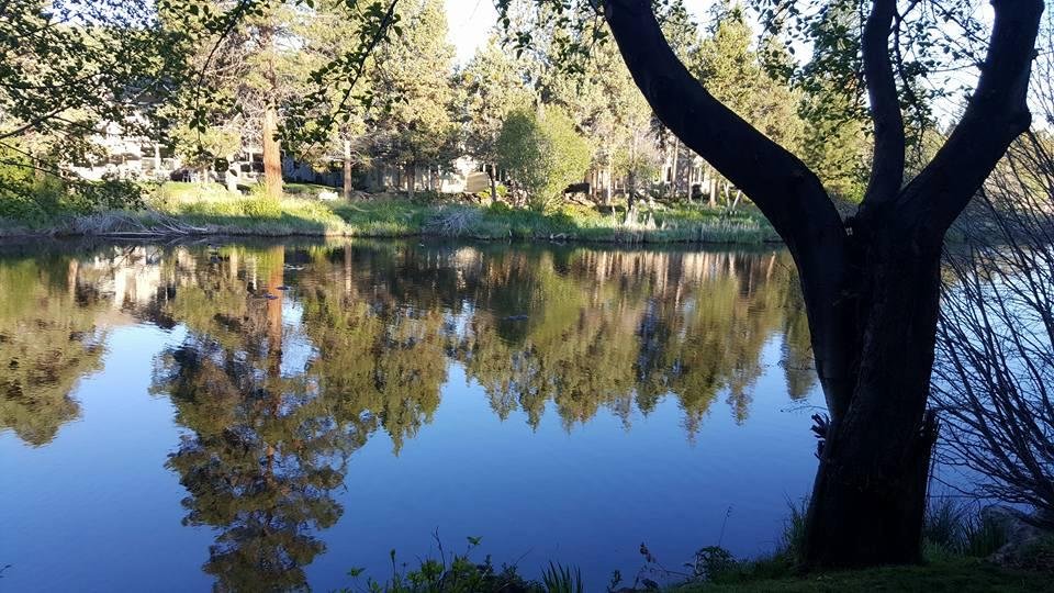 Ken Lauer's album, Mobile Uploads