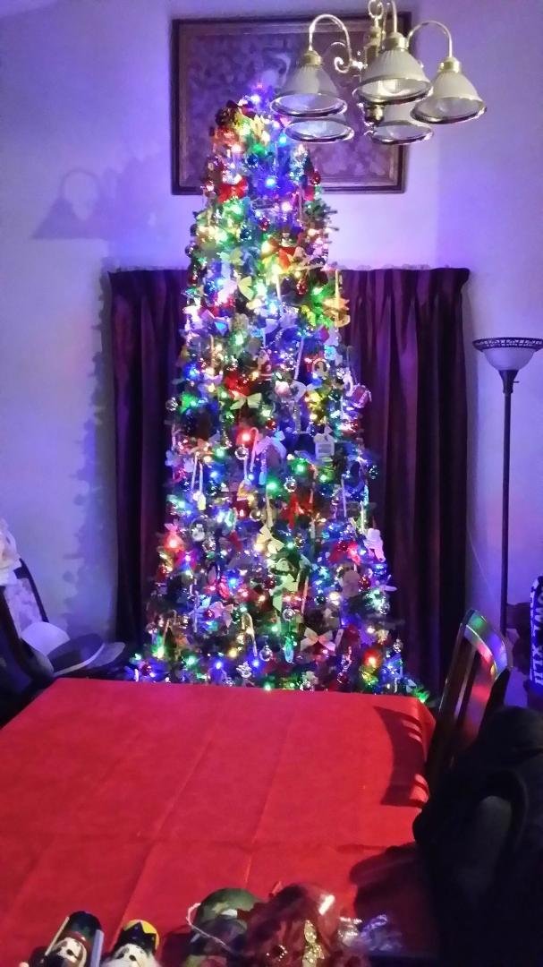 Started the tree 2018