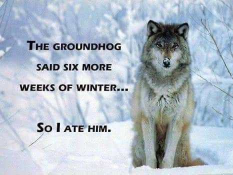 Tracy Odonnell's album, Timeline photos