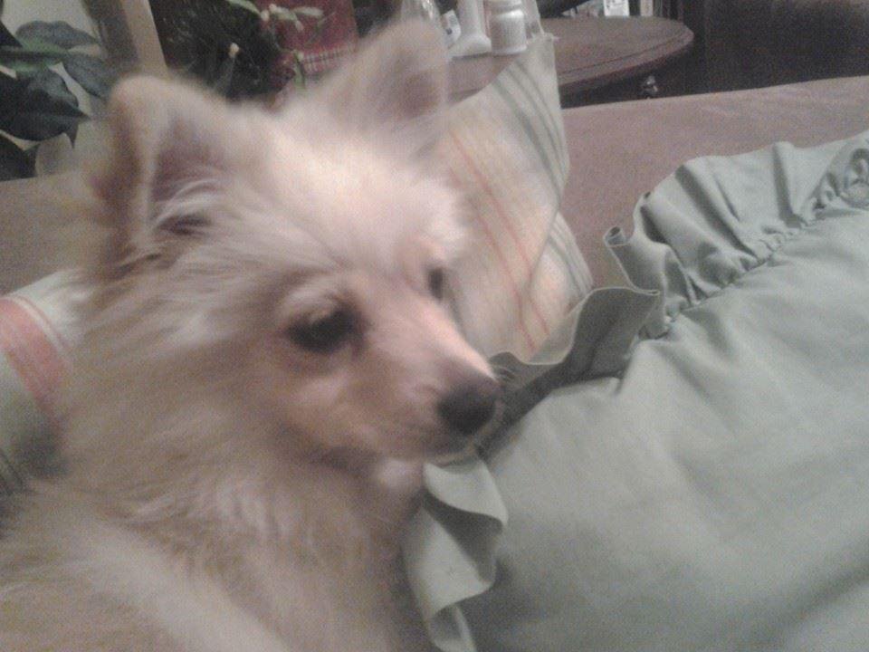 This is Bailey.