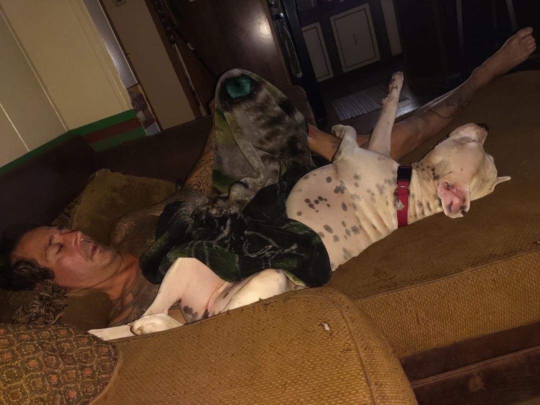 My lazy boys.....