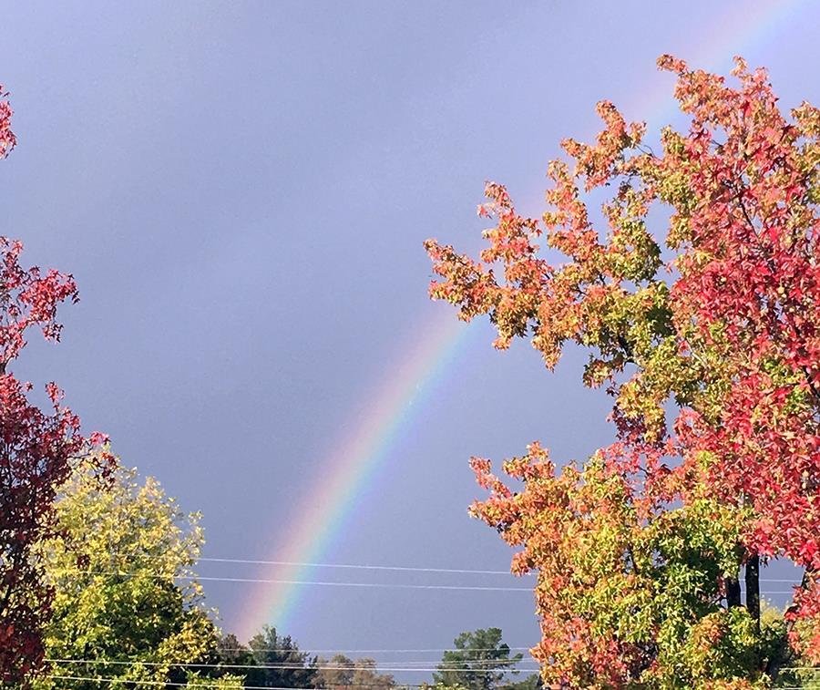 The view from my front door this morning.