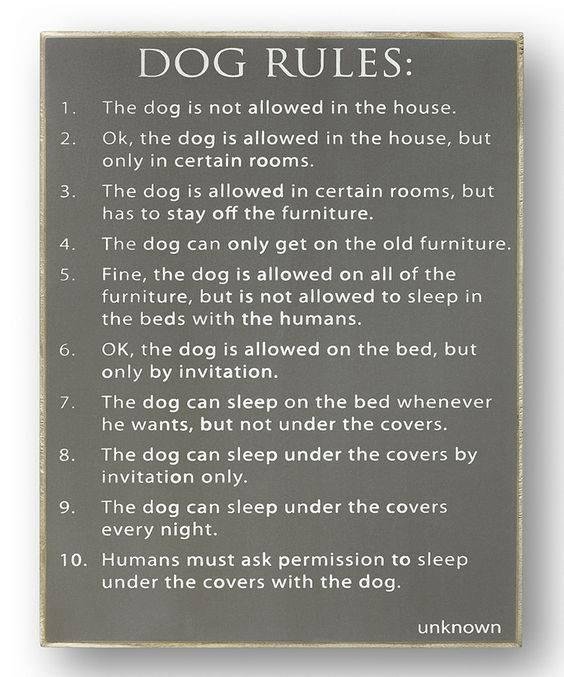 the comfort of knowing we need them as much as they need us.....