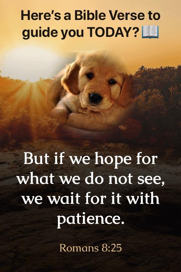 Gary Moore's album, Timeline photos