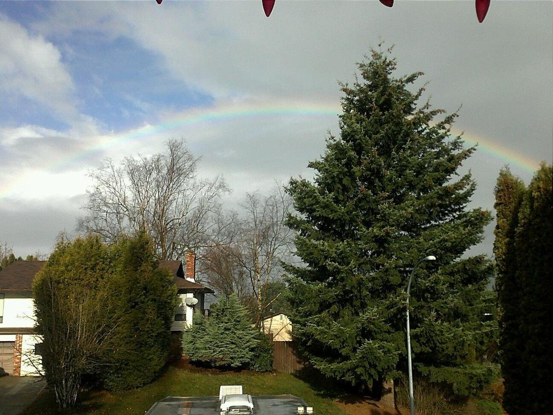 Rainbow in front of our house now need to find the pot of gold lol.