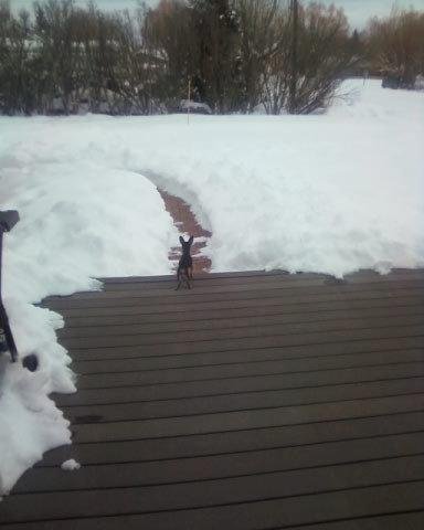 Peanut, checking things out...