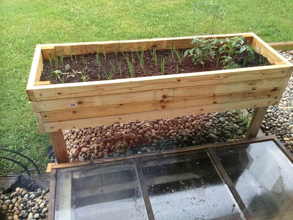 My box garden. Think I will have onions for sure . Dave built the box so I have had fun planting and watching it grow. Oh the small things I get excited about.