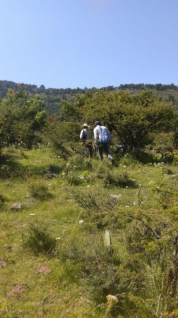 Looking for the Camino real..the man with the hat was our guide