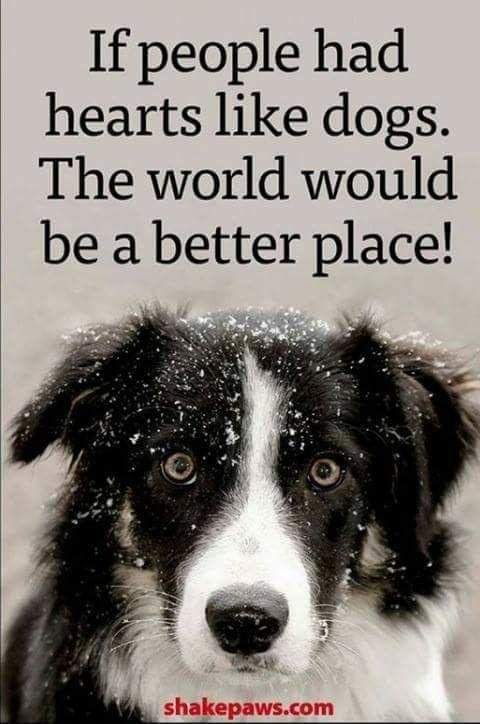 This is so true.