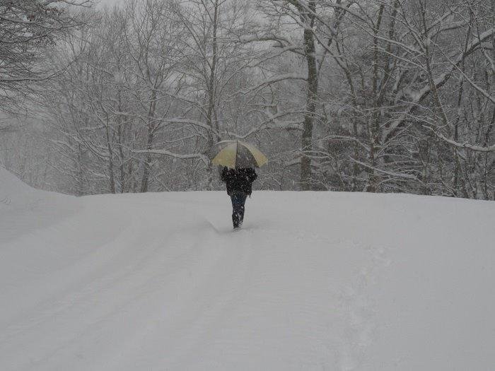 Jimmie Sowder's album, snow