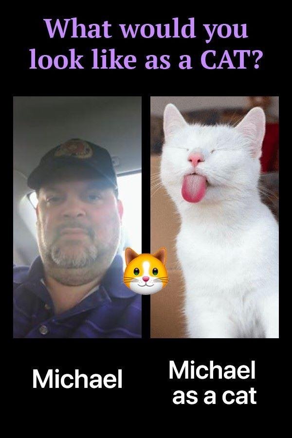 Michael King's album, Timeline photos