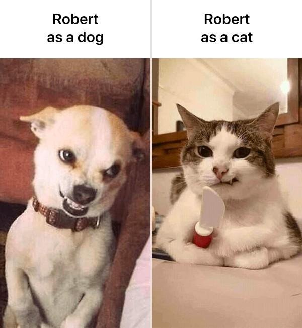 Robert Smith's album, Timeline photos