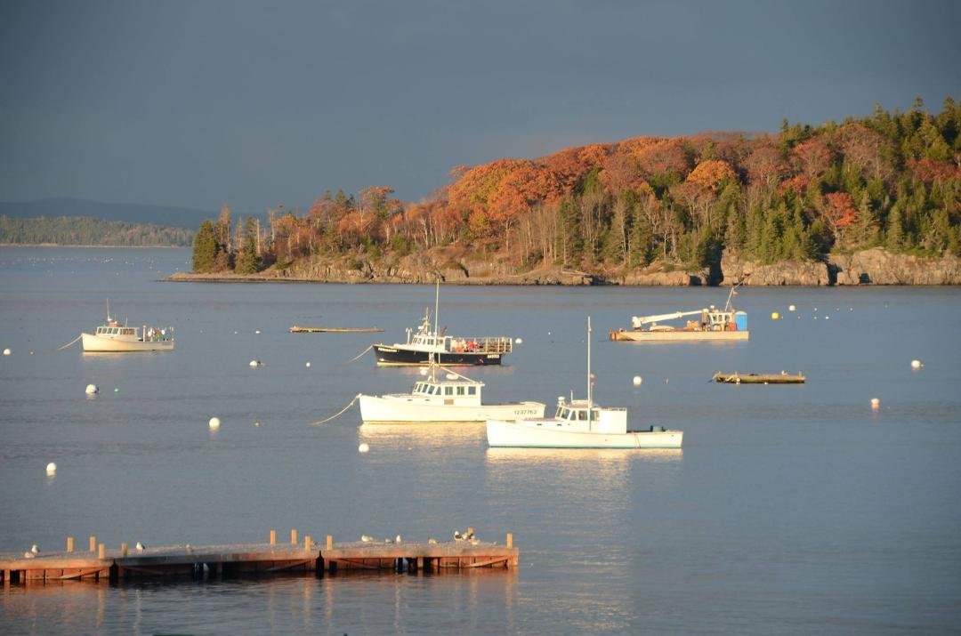 Bar Harbor at sunset
