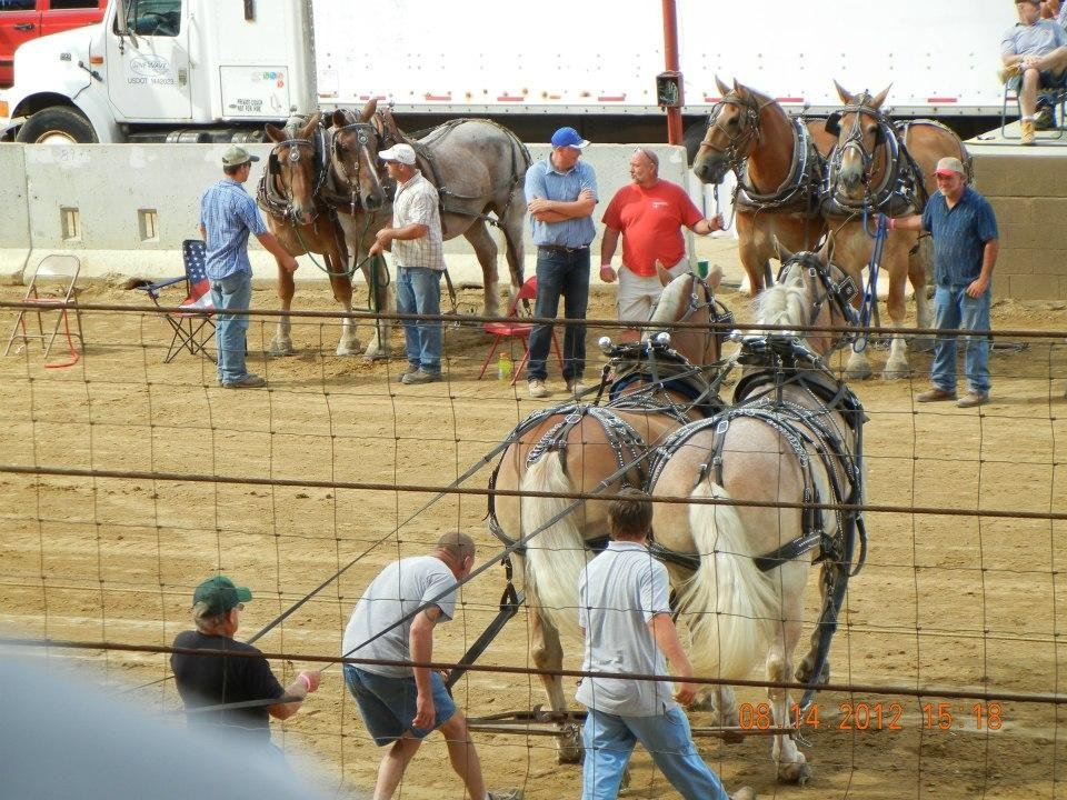 Horse Pull