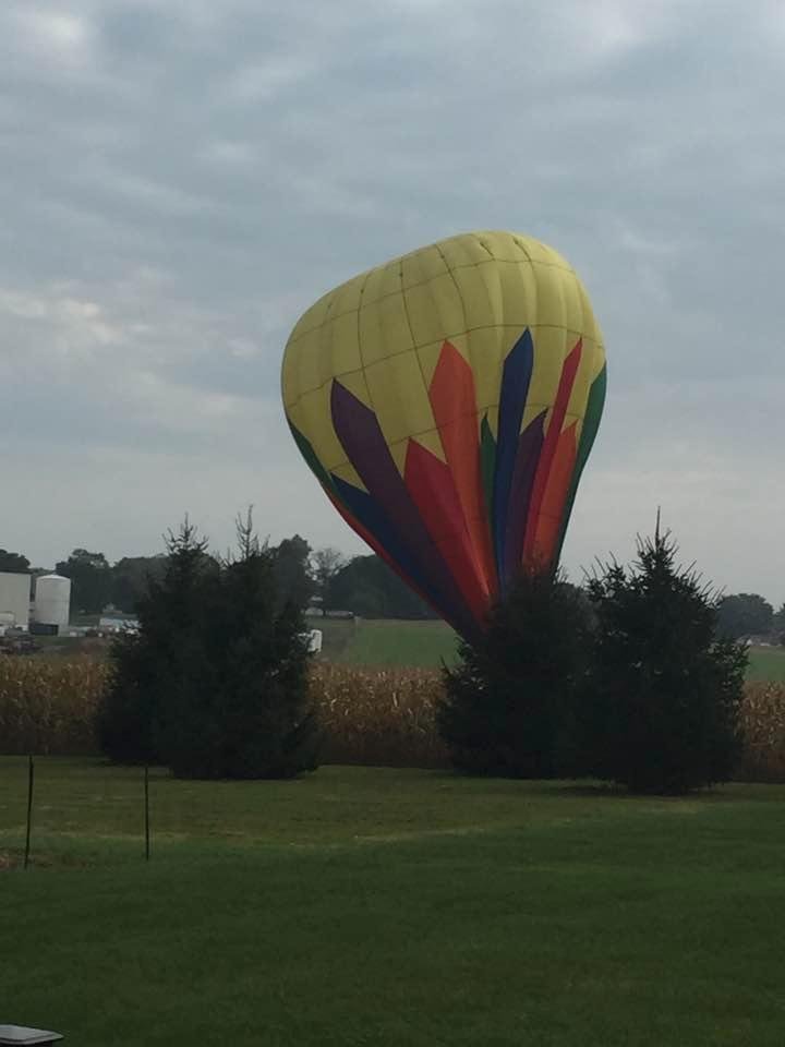 Another exciting Sunday morning in the Brandywine Preserve.