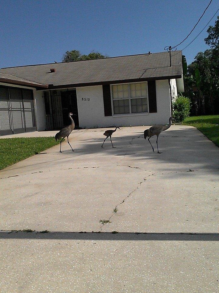 Out for a drive seen mommy daddy and baby