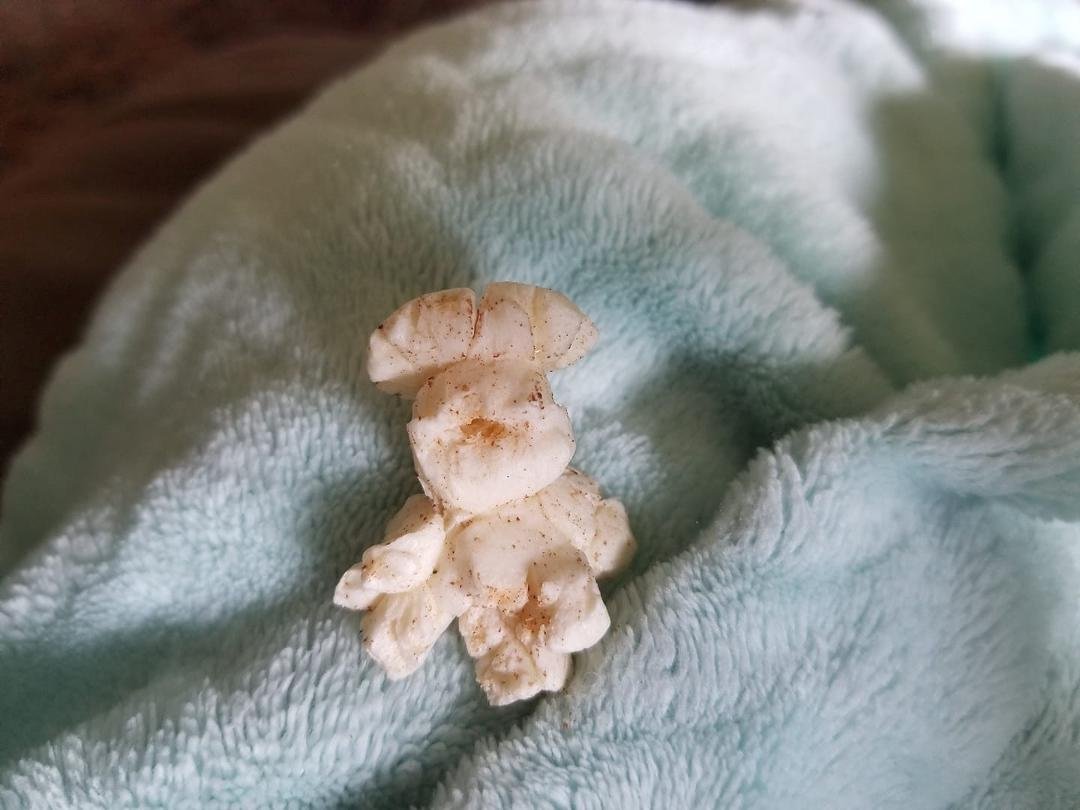 Eating popcorn 🍿tonight I found the Pillsbury dough boy glad I didn't eat him lol