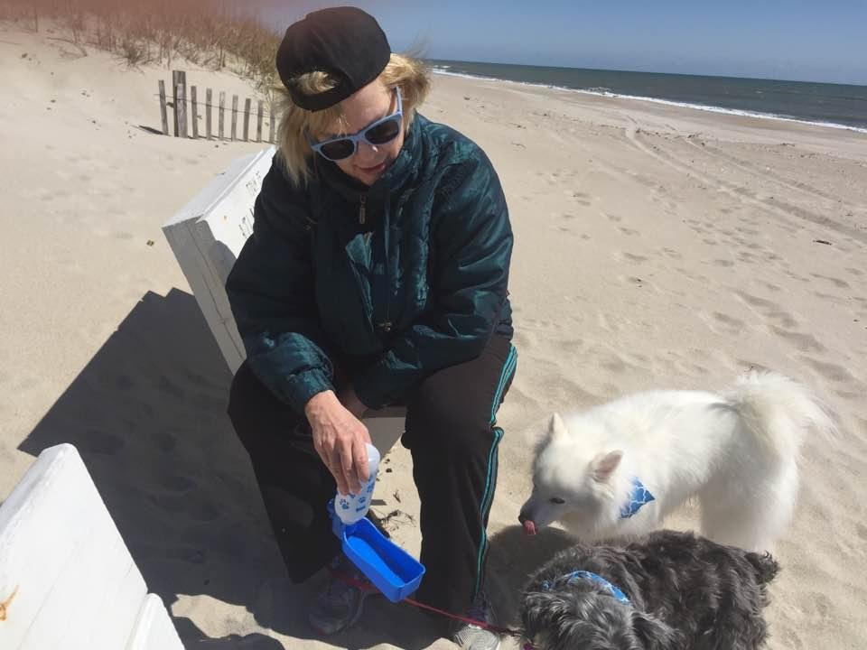 A chilly day on the beach with our dogs.