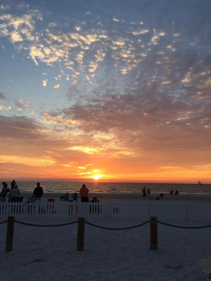 Barbara Zimmerman's album, Mobile Uploads