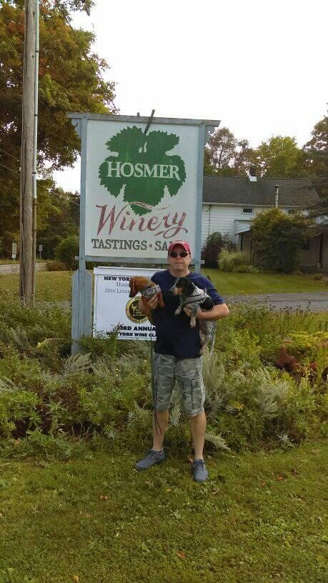 Took a little trip today. First the winery then the dog park.