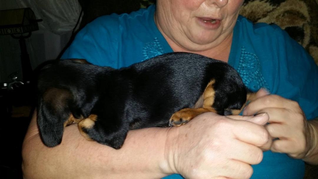 Donna Germain's album, Timeline Photos