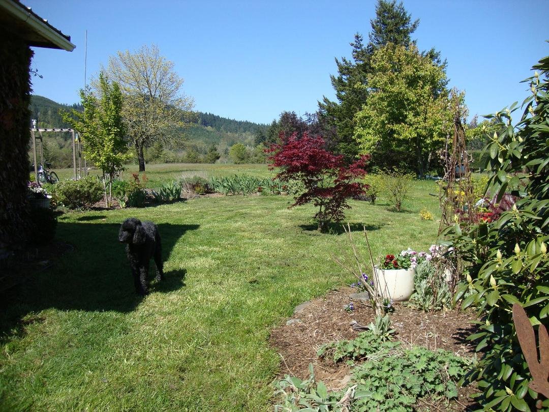 Our view to West in late April