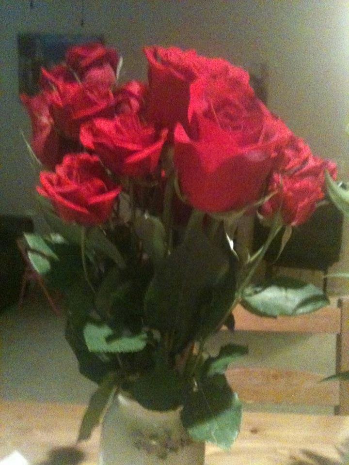I love them!