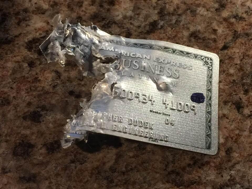 Never ever drop a credit card around a dog!