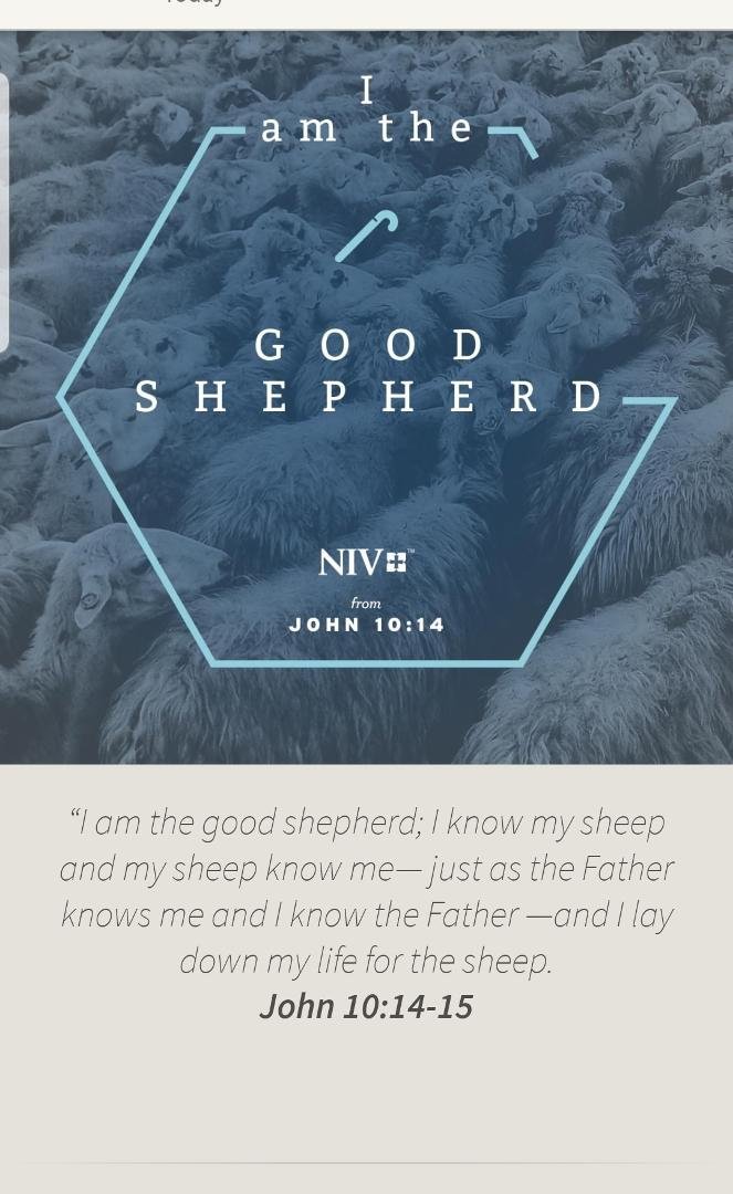 Ruth Vineyard's album, Timeline Photos