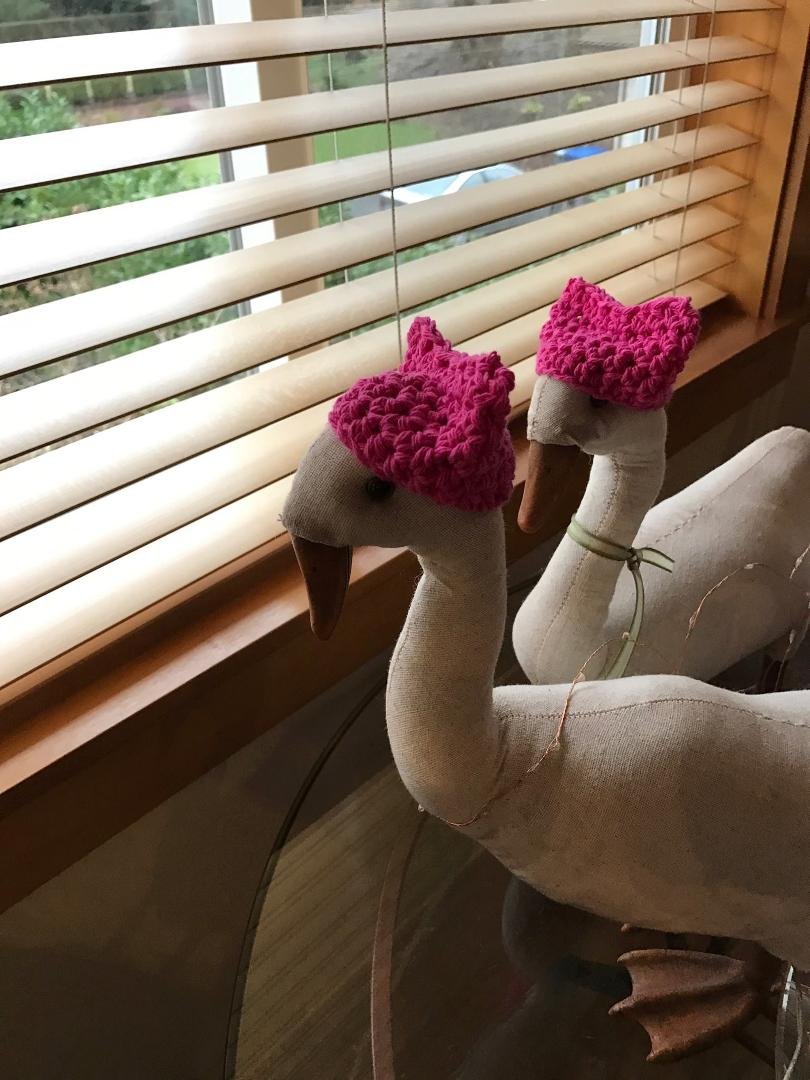 I think we should start YARNBOMBING with PUSSYHATS!
