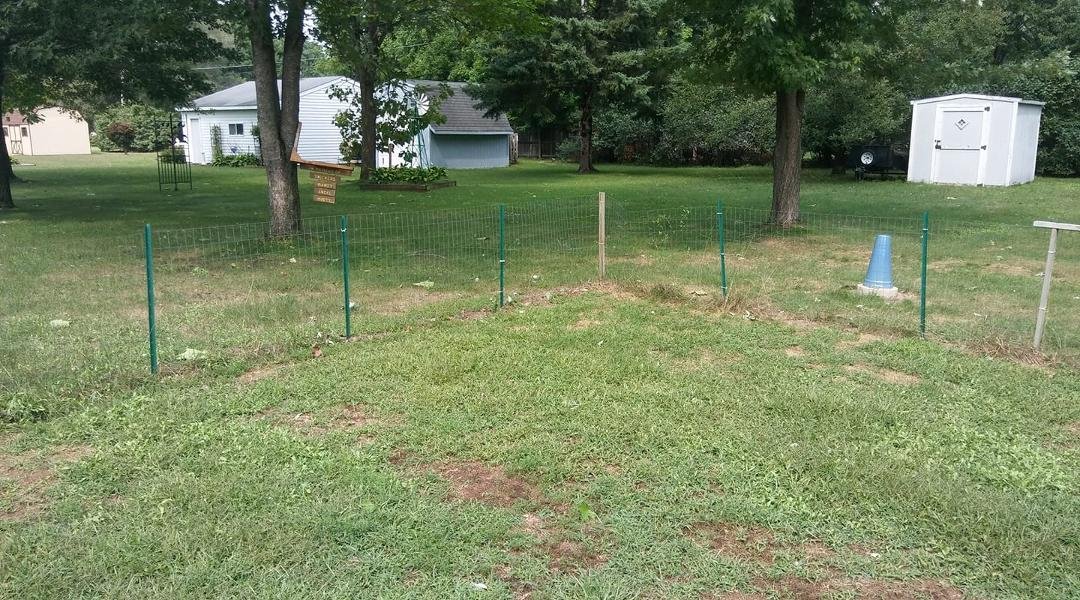 Lost a bird bath and my pet memorial...for starters