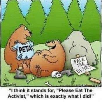 Tom Cook's album, Timeline Photos
